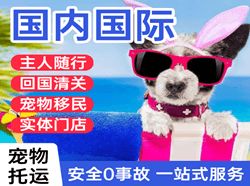 硕放空运国际宠物托运 【国
